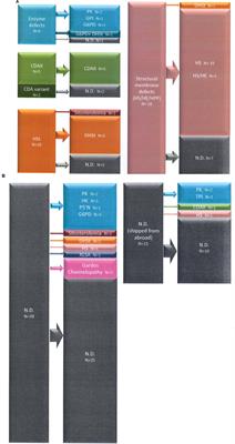 Targeted Next Generation Sequencing and Diagnosis of Congenital Hemolytic Anemias: A Three Years Experience Monocentric Study